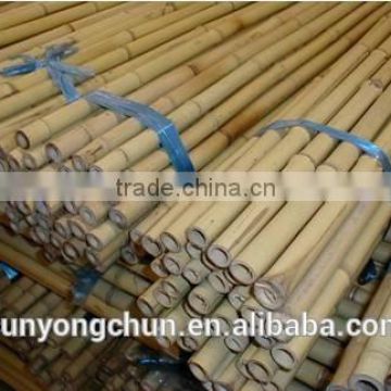 bamboo pole for garden decoration eco-friendly factory direct supplying hot sale cheap large bamboo Tonkin Tsinglee bamboo pole