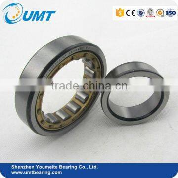 35X80X21 Cylindrical Roller Bearing NJ307