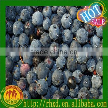 China Importers of frozen fruit and vegetable