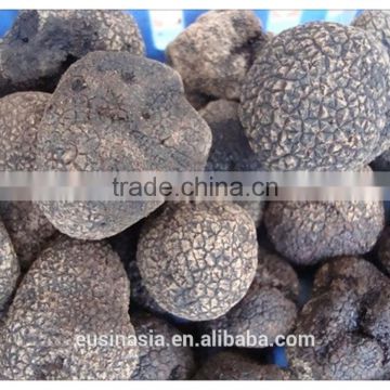 latest crop truffle
