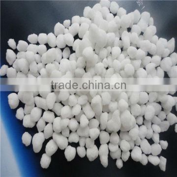 Ammonium sulphate exporter