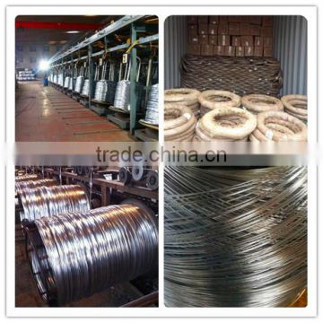 ISO 9001 BWG 5 - 28 galvanized bale tie wire (Electro / Hot dipped galvanized)