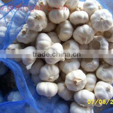 Fresh Garlic Products/Garlic cfr