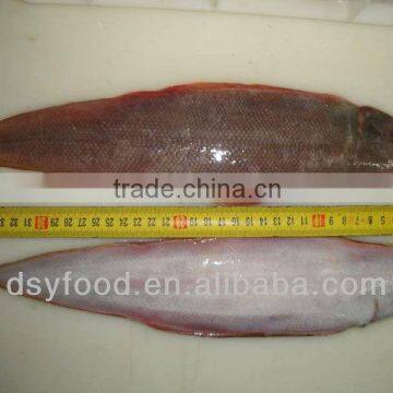 Frozen tongue sole fish of frozen tongue sole from China Suppliers ...