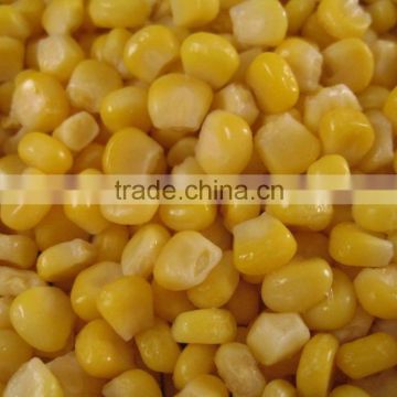 iqf sweet corn kernel