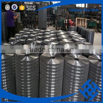 Alibaba factory price 1/4 inch galvanized welded wire mesh