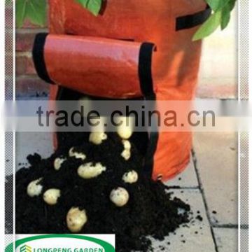 Orange Potato Planter Growing Bag