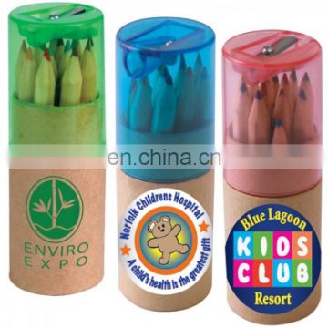 Coloured wood Pencils set In Cardboard Tube With Sharpener