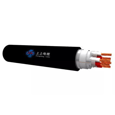 Control Cable With XLPE Insulation 450/750V