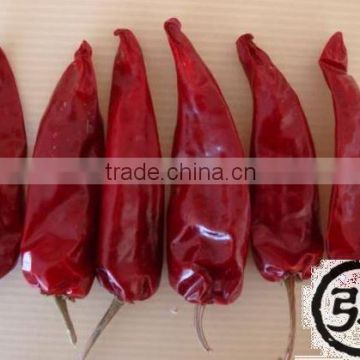 Dried hot Beijing Red Chilli