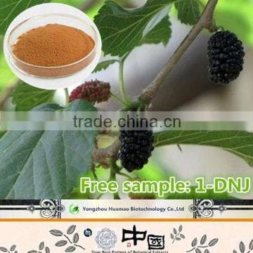 100% Natural Medicinal Indian Mulberry Root Extract 5:1