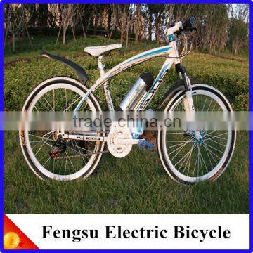 250W Brushless Electric Bicycle