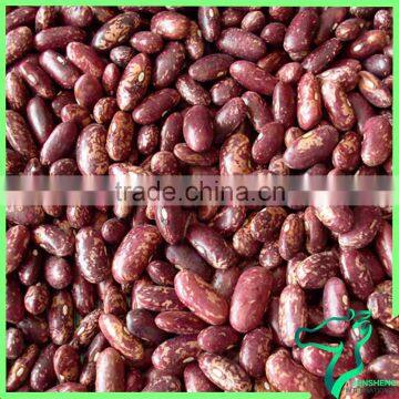 Canned Sugar Bean Light Red Speckled Kidney Bean High Quality