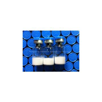 Blue Top 100% Authentic HGH High Quality HGH  Factory Price for Wholesale