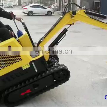 Chinese small excavators 10ton mini amphibious excavator for sale