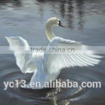 Excellent swan oil painting on canvas cf-44