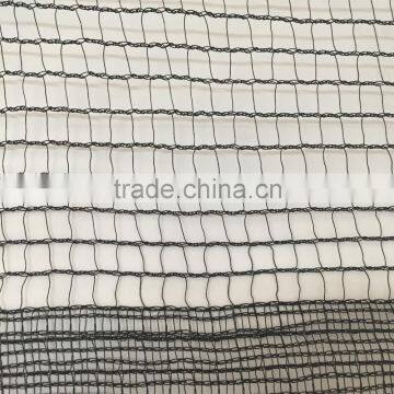 Plastic woven agriculture birds for sale / bird netting