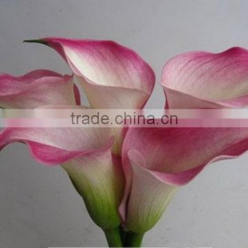 Diversified in packaging top sell calla lily bridal wedding bouquet decoration