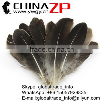 ZPDECOR Wholesale Size from 15cm to 20cm Natural Grey Goose Feathers