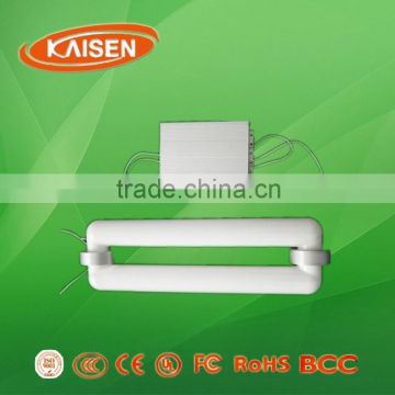 250W new products LVD price induction lamp rectangular tube with ballast