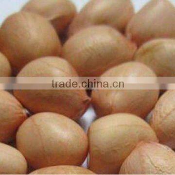 PREMIUM QUALITY JAVA PEANUT FOR RUSSIA