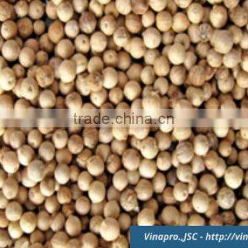 VIETNAM WHITE PEPPER 600 G/L, HIGH QUALITY, BEST PRICE (+841657106604 - WHATSAPP)