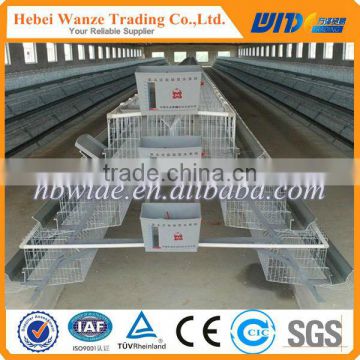 High quality chicken cage poultry farm / Chicken cages with professional design