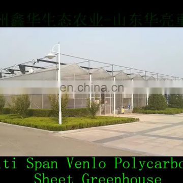 PC Sheet / Polycarbonate sheet Greenhouse for Modern organic agriculture