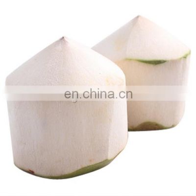 high quality electric coconut skin peeling machine for brown skin