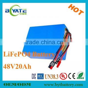 48 volt electric bicycle lifepo4 battery with connector and line