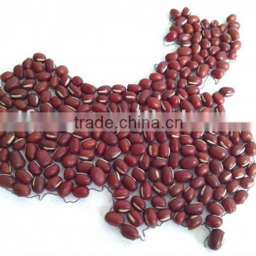 China Small Red Beans/Adzuki beans( Heilongjiang origin, New crop,hps)