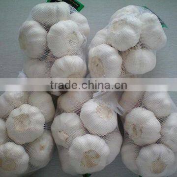 Certified GAP/ KOSHER/ HALAL New Crop FRESH Garlic Grade A