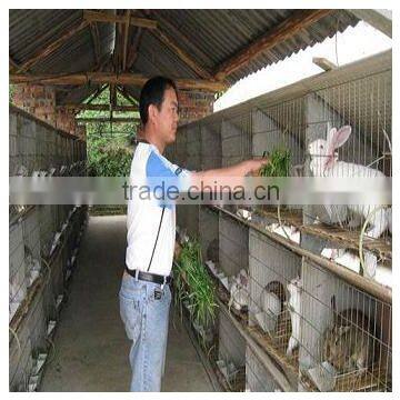 rabbit cage manufacturer