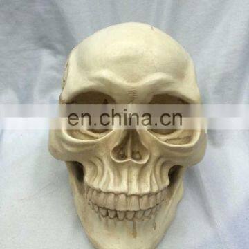 party Halloween skull head C-A087