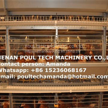 Brazil Poultry Farm H Frame Full Automatic Layer Chicken Cage Equipment & Battery Chicken Cage for Farmer in Shed