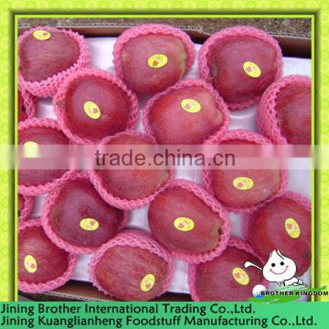 huaniu apple China supplier