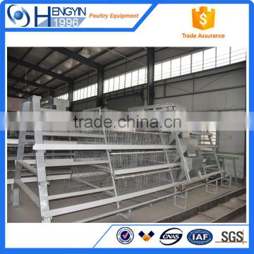 Egg layer cages system automated battery cage