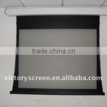 OEM motorized tab tensioned screen with lower price