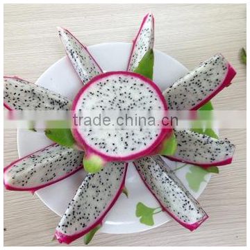 Viet Dragon Fruit