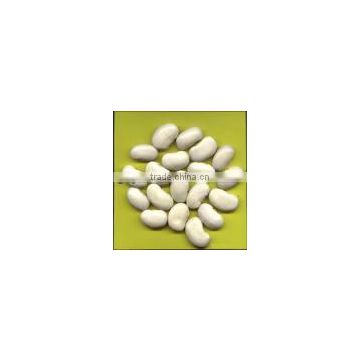 White Kidney beans Extract Powder