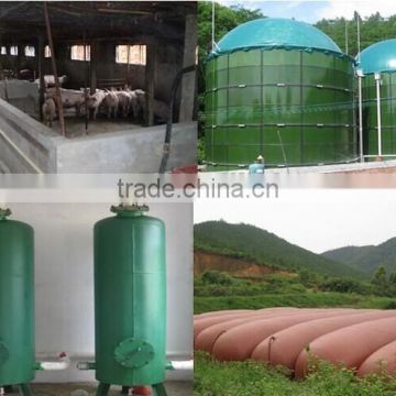 Hot Sale Biogas Plant Equipment/ Biogas Scrubber/ Biogas Storage Bag/ Biogas Holder/ Biogas Storage Tank/ Biogas Generator