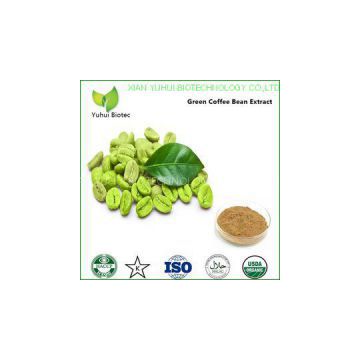 green coffee extract capsules,kosher green coffee bean extract,green coffee extract powder