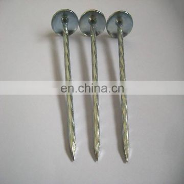 Good quality galvanized china corrugated roofing nails