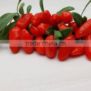 ningxia wolf berry