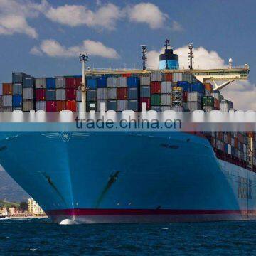 container shipping Shenzhen China to Vitoria Brazil container freight shipping