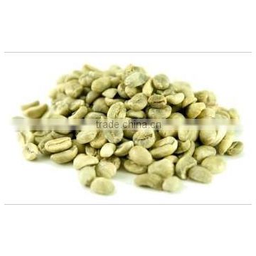 High Quality Green Arabica Organic Coffee Beans