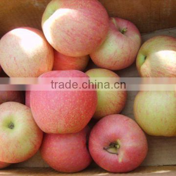 Qinguan Apple in 20kg carton