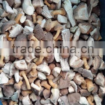 2016 Hot selling dried Mushroom with reasonable price and fast delivery