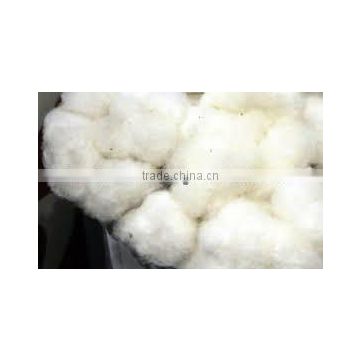 Raw cotton s6