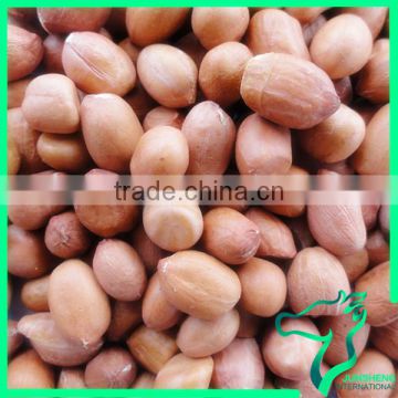 Chinese Peanut Kernel Red SKin Peanut Seed Kernels For Sale